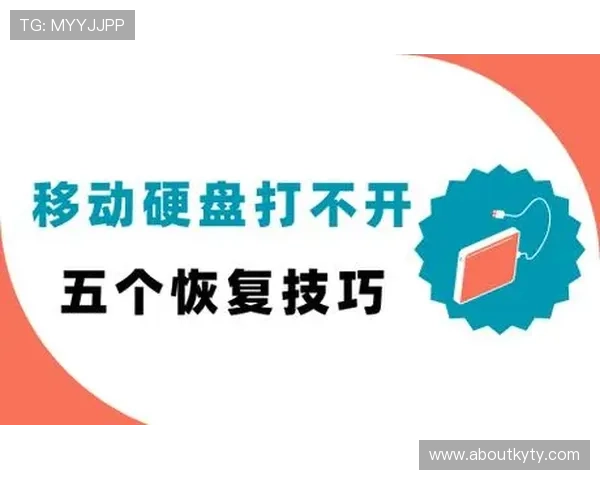开云网页版app直接进入：提升登录效率的实用技巧与常见问题解决方案