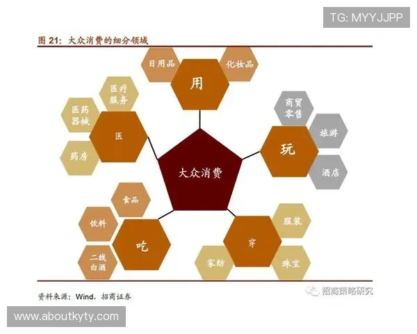 开云集团在中国市场的扩展策略及其对本地奢侈品消费的影响分析