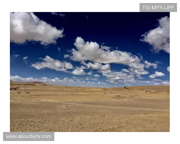 开云电子官方入口：官方入口的常见问题解答与使用技巧分享