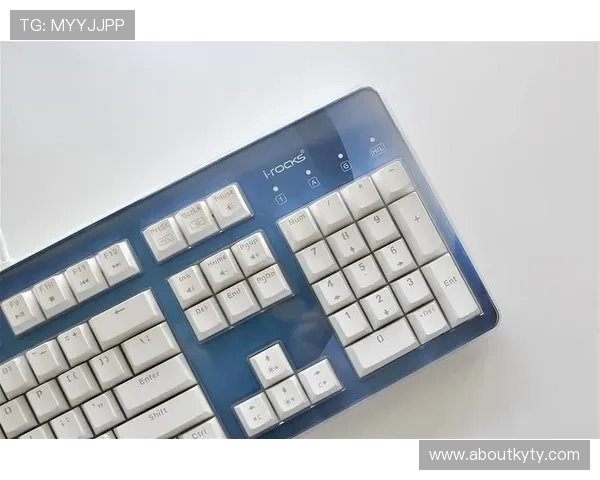 开云tyre轮胎在虚拟赛车游戏中的表现评测及玩家使用心得分享