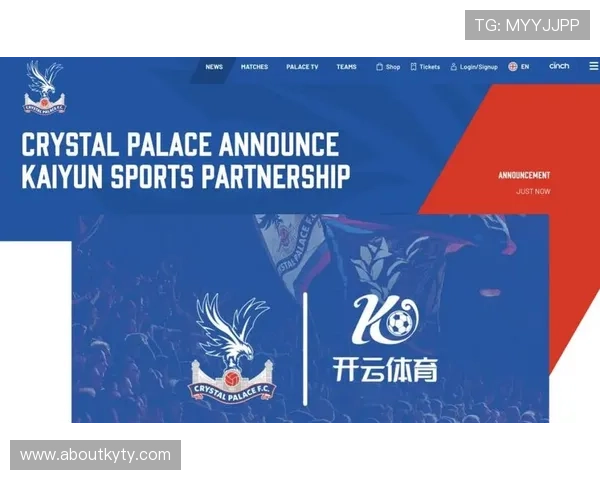 开云体育直营平台在行业中的地位与品牌影响力持续提升的原因分析