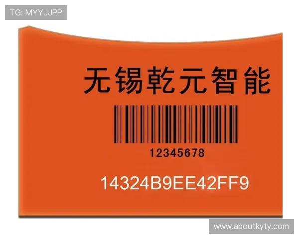 开云客户端安全性分析与隐私保护措施，保障玩家个人信息安全